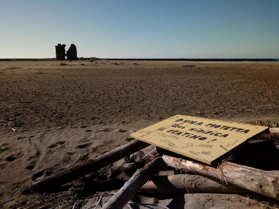 Torre Flavia, via le protezioni dalle dune