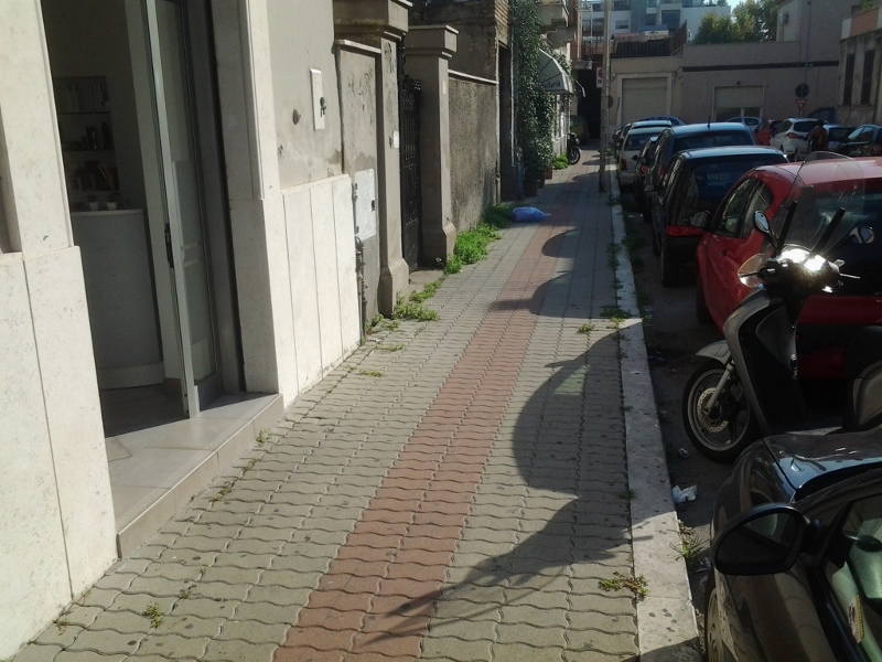 Erba alta e degrado in via della Cooperazione