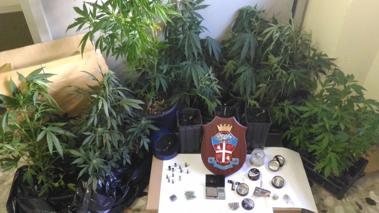 Coltivavano canapa indiana: arrestati dai Carabinieri