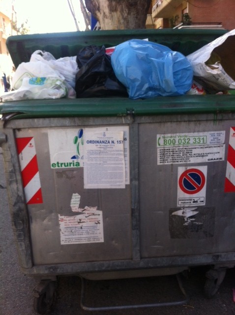 Cassonetti strabordanti, citt&agrave; vicina all'emergenza