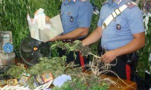 Coltivavano marijuana in casa: due viterbesi arrestati dai carabinieri