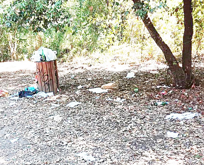Ladispoli, incivili in azione al bosco di Palo
