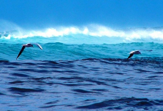 Due nel blu (foto Angela Pierucci)