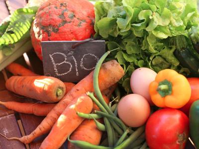 Rinnovabili e agroalimentare, Italia leader della green economy