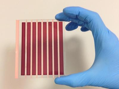 Semitrasparenti e low cost, le finestre che producono energia