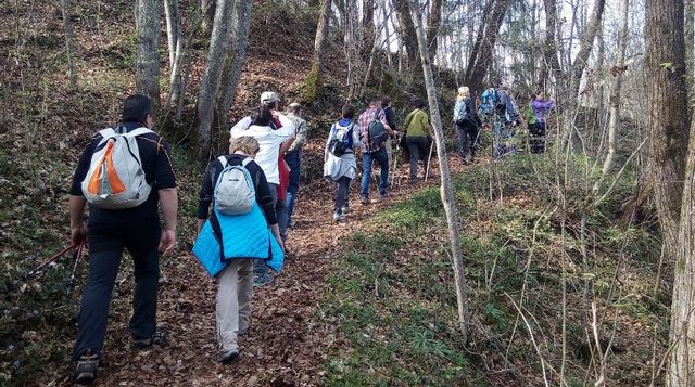 Tolfa, grande partecipazione alla visita guidata naturalistica