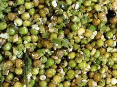 Legumi, lunga vita agli scarti