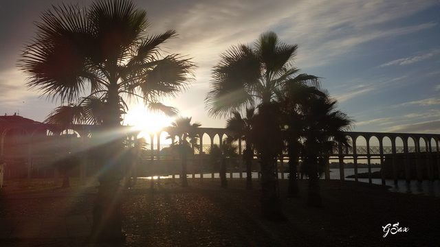 Il Pirgo (foto Luigi De Fazi)