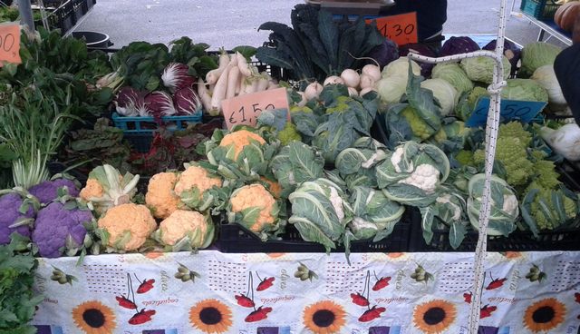 I colori della natura (foto Rosario Sasso)