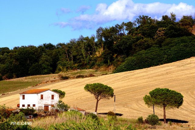 Paesaggio bucolico (foto Giovanni Canu)