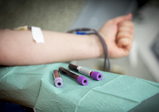 Chikungunya, Quintavalle: &ldquo;Al momento nessuna restrizione&rdquo;