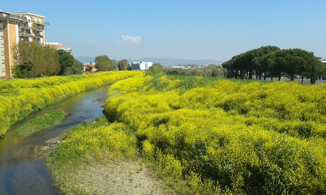 Primavera a Ladispoli (foto Rosario Sasso)