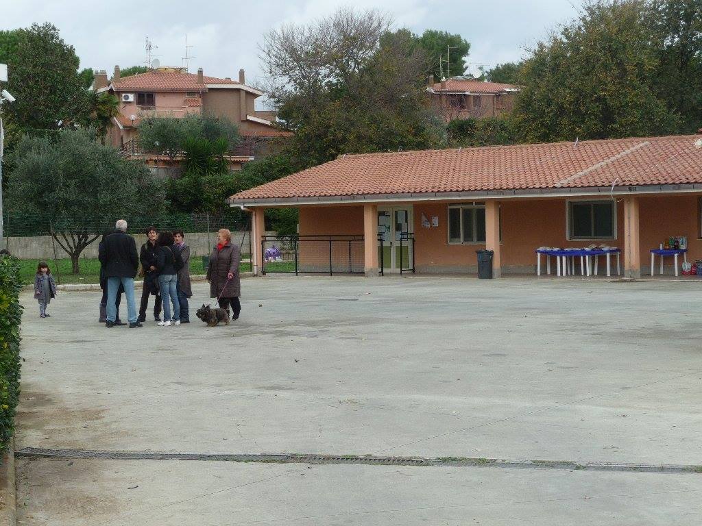 Ladispoli, sar&agrave; intitolato a Christian Meotti il plesso di Marina di San Nicola