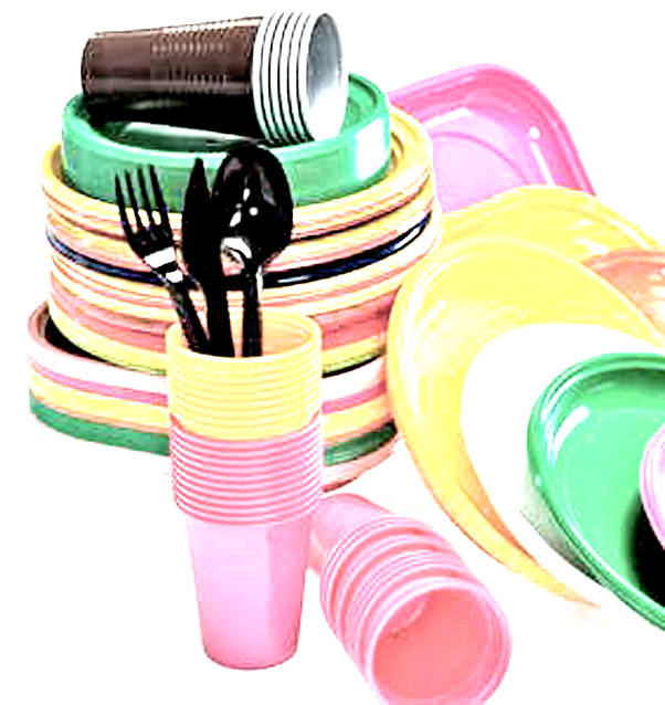 Stoviglie di plastica, la Francia dice stop