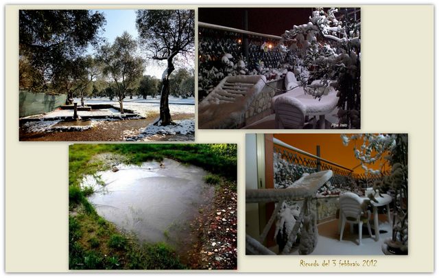 Ricordo nevicata 2012 (foto Pina Irato)