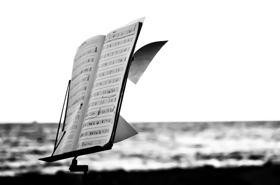 Spartito marino (foto Enrico Paravani)