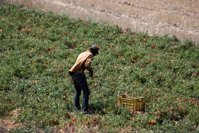 Assolavoro, piano in 10 mosse contro il ‘‘caporalato’’