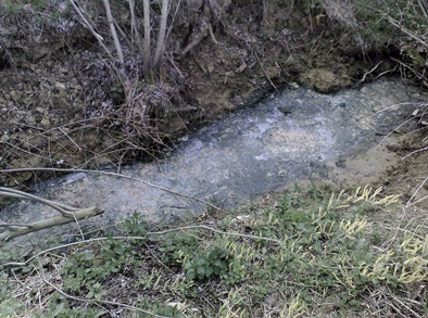 Sversamento di liquami maleodoranti al Sasso