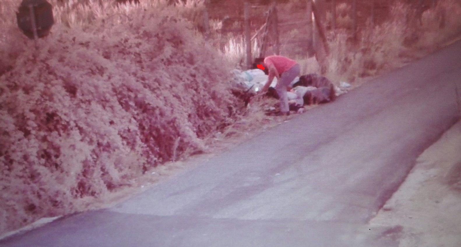 Cerveteri, identificato piromane grazie alle foto-trappole