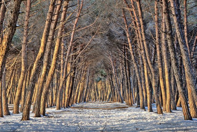 Burian alla Frasca (foto Simone Lombi)