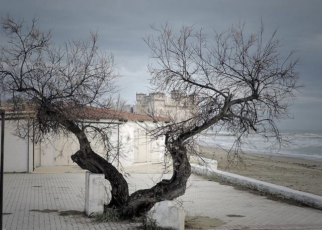 Libeccio (foto Mauro Mari)
