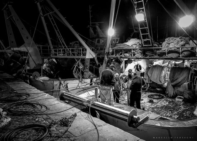 Il lavoro del pescatore …continua sul molo (foto Marcello Tedeschi)