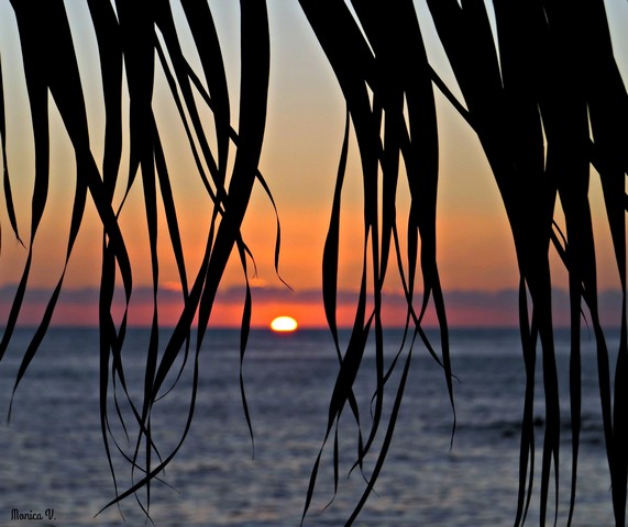 Tramonto (foto Monica Volpi)