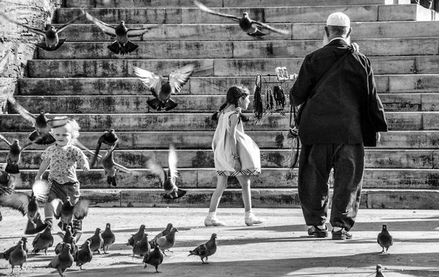 Vita (foto Angelo Bonarelli)