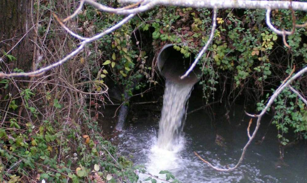 Scarichi abusivi, Pascucci: &laquo;Totale collaborazione con l&rsquo;autorit&agrave; giudiziaria&raquo;