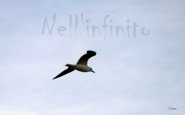 Nell'infinito (foto Pina Irato)