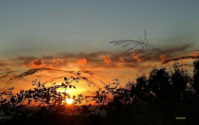 Tramonto fra i rovi (foto Pina Irato)
