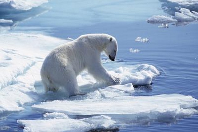 Allarme clima. "Il Polo Nord potrebbe scomparire gi&agrave; quest'anno"