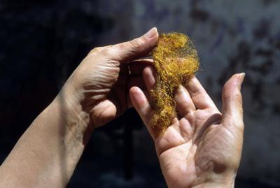 La signora del Bisso si appella al ministro