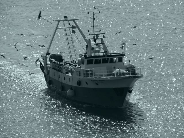 Il rientro (foto Mauro Mari)