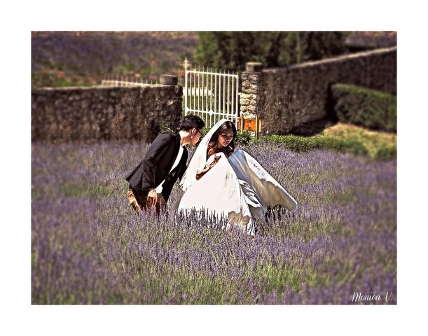 Gli sposi e la lavanda (foto Monica Volpi)