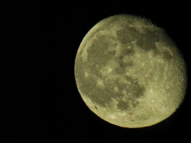 Moon (foto Giulia Ciancarini)