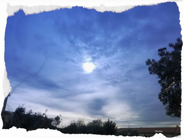 Sole bianco (foto Pina Irato)