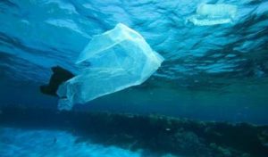 Batteri ‘‘spazzini’’ contro l’inquinamento della plastica