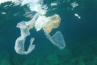 Con Seabin stop alla plastica in mare