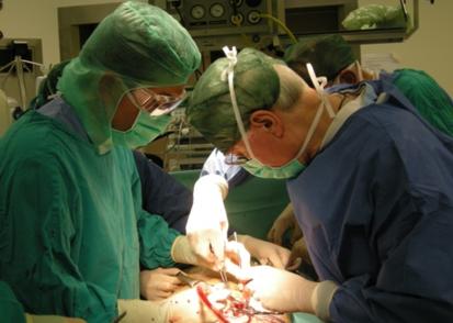 Chirurgia vascolare:  una solida realt&agrave;