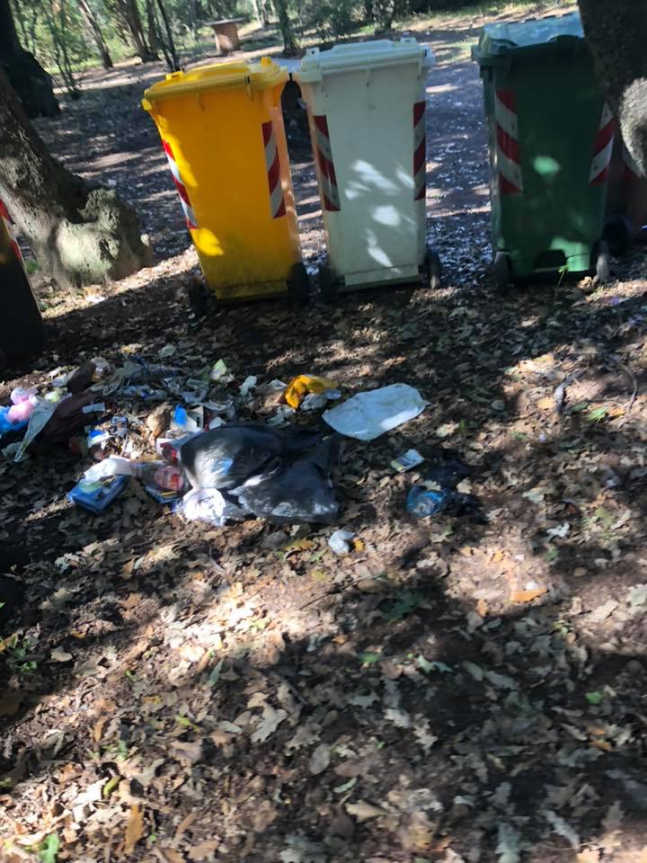 Bosco di Palo, gli incivili non mollano