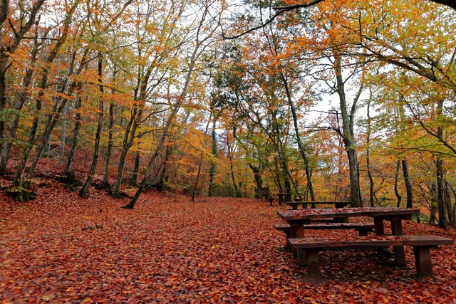 Autunno (foto Alessandro Tarantino)