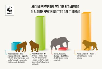 La natura vale miliardi di dollari l’anno