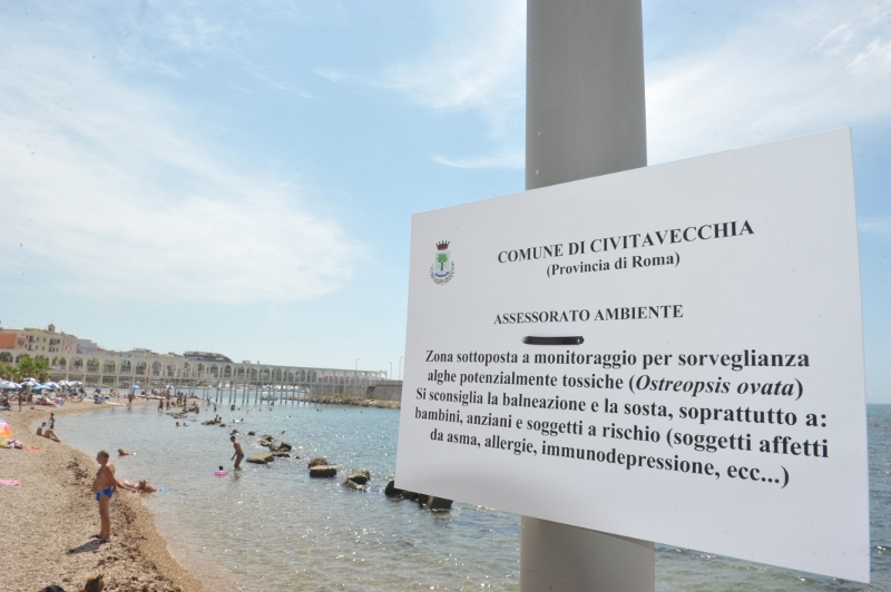 Prosegue il monitoraggio dell'alga "Ostreopsis Ovata”