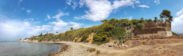 Santa Marinella natura selvaggia in pieno centro (foto Dario Urbani