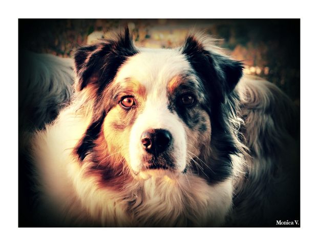 Marilyn (foto Monica Volpi)