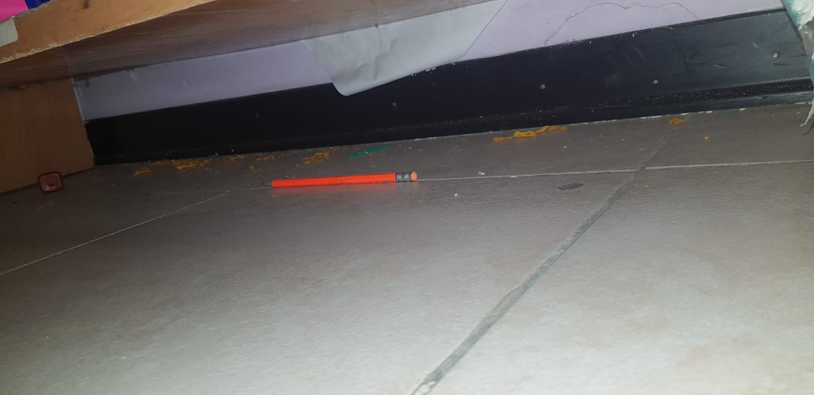 Ancora topi a scuola: chiuso anche oggi il plesso di Borgo San Martino