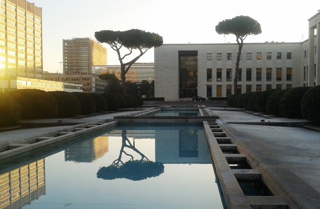 Albero riflesso (foto Rosario Sasso)