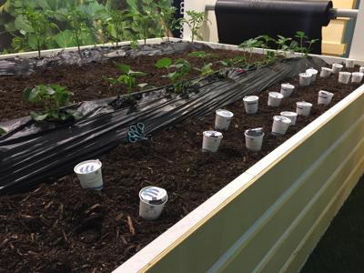 Dal &lsquo;&lsquo;bio&rsquo;&rsquo; all&rsquo;energia: top 5 delle azioni &lsquo;&lsquo;green&rsquo;&rsquo; per salvare il pianeta