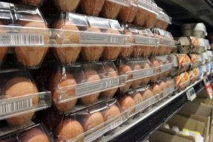 Fipronil,  uova contaminate anche nel Viterbese